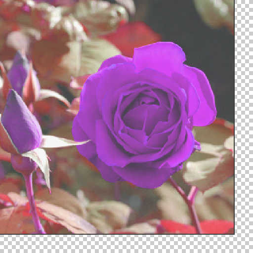 Variation 7
