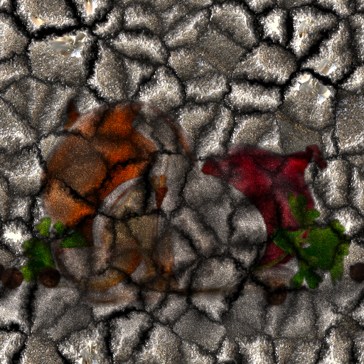 Variation 8
