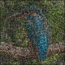 Stitch-Up