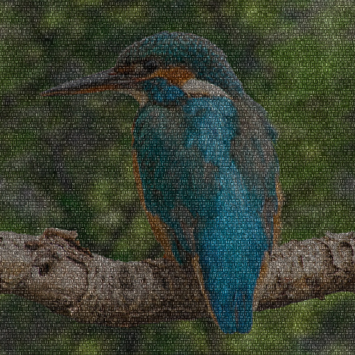 Variation 8