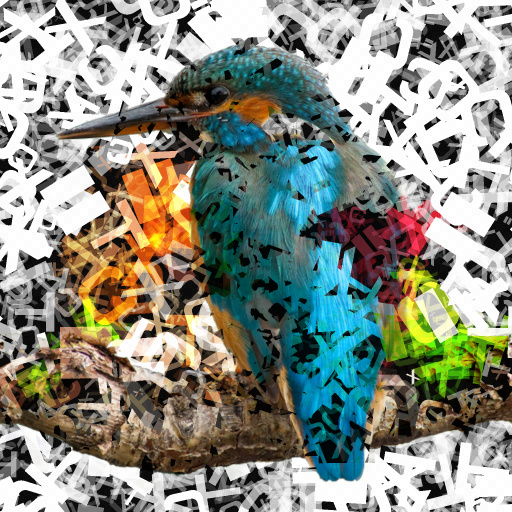 Variation 4