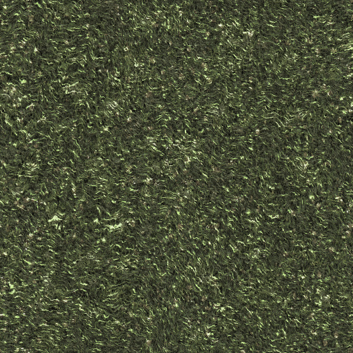 Variation 4