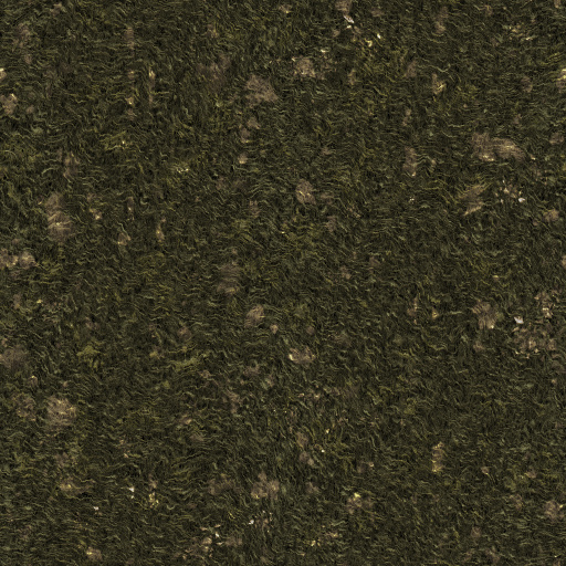 Variation 7