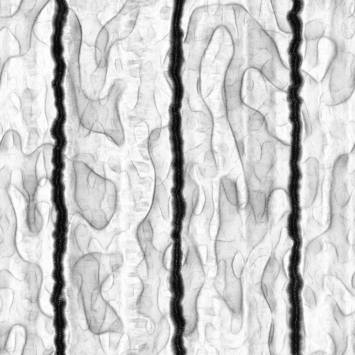 Ambient Occlusion Map