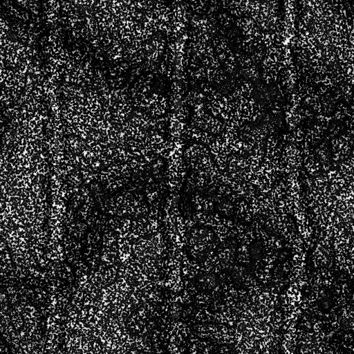 Reflective Occlusion Map