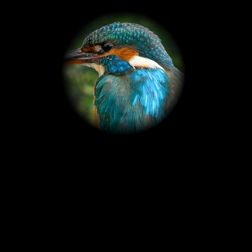 Variation 2