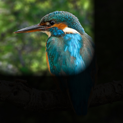 Variation 3