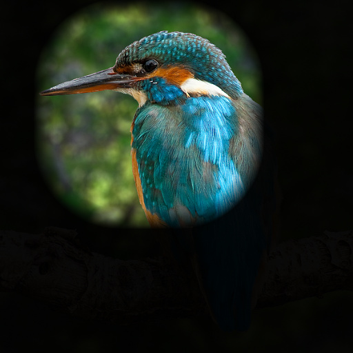 Variation 6