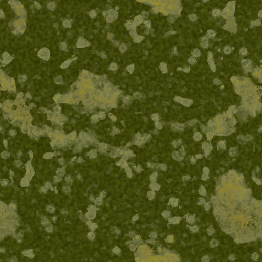 Diffuse Map