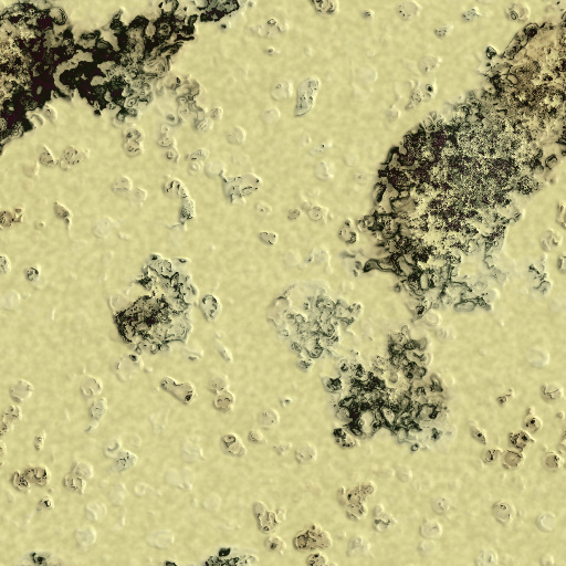 Variation 4