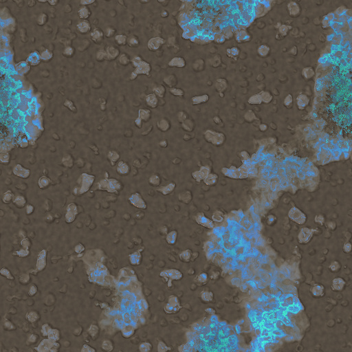 Variation 6