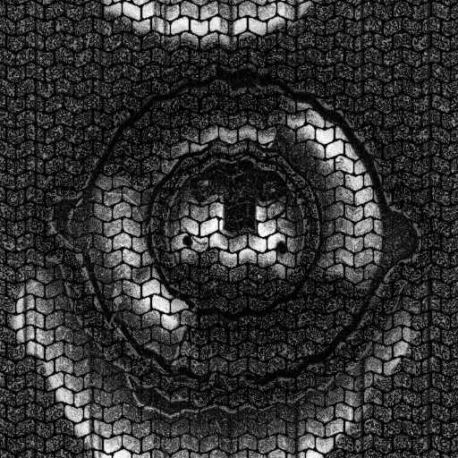 Ambient Occlusion Map
