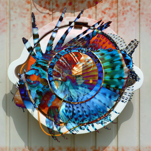 Variation 4