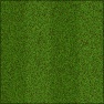 Lawn Stripes