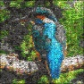 Jelly Bean Art (No Script)
