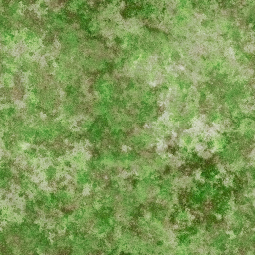 Variation 3