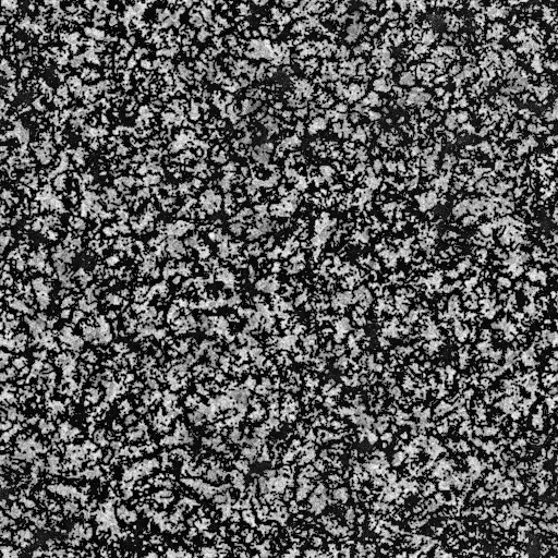 Ambient Occlusion Map