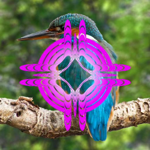 Variation 3