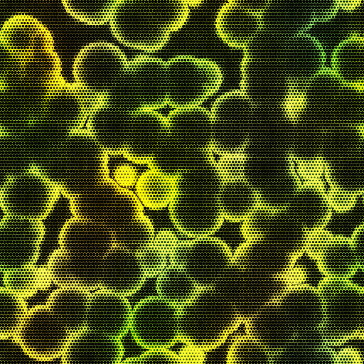 Variation 2