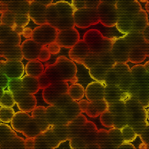 Variation 7