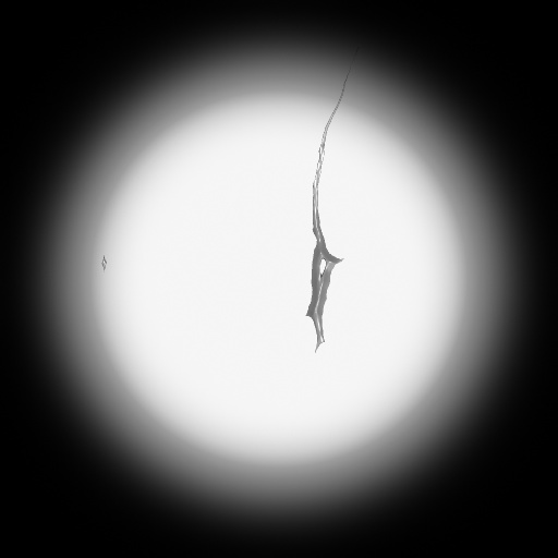 Variation 1