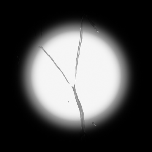 Variation 5
