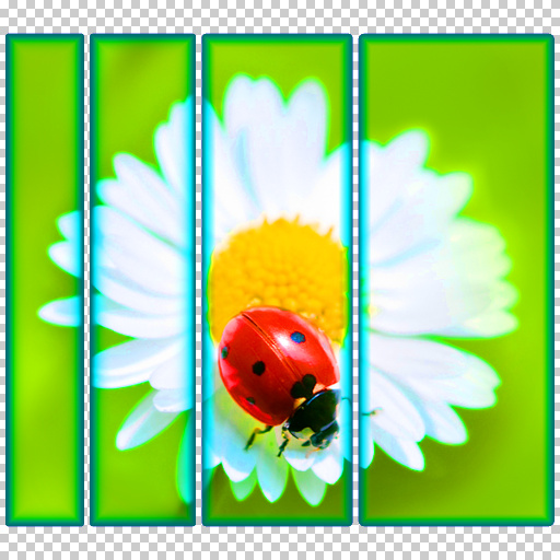 Variation 5