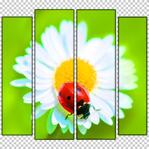 GF Frame 4 in 1 for Images or Photos by Ghislaine
