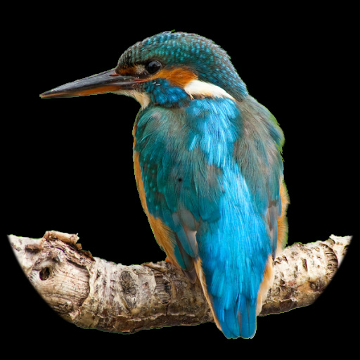 Variation 8