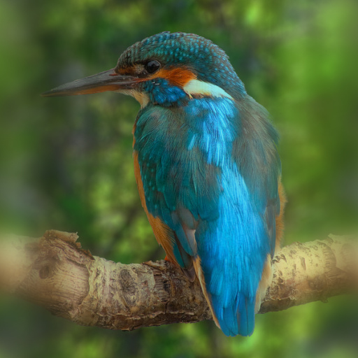 Variation 3
