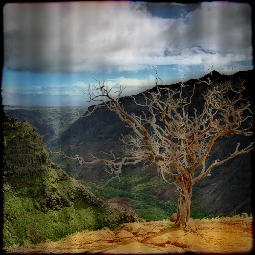 Variation 8