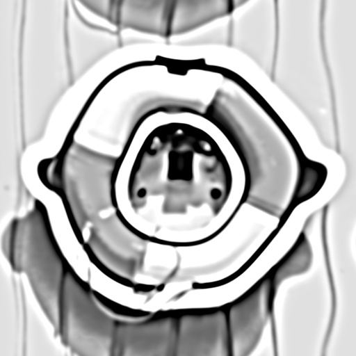 Variation 6