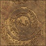 Fossil relief