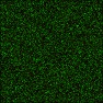Simple Grass