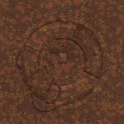 Variation 8