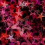 Oh My Stars