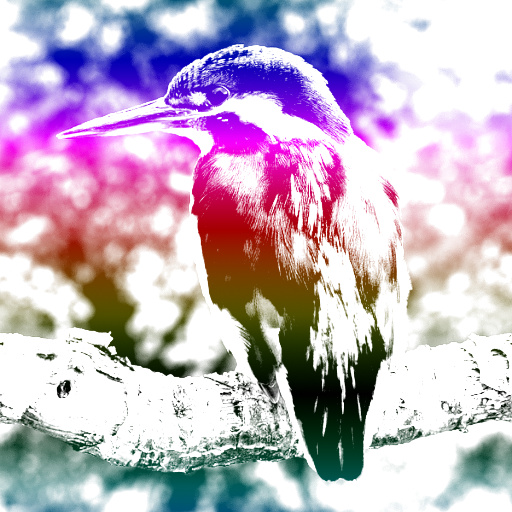 Variation 2