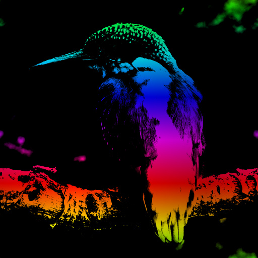 Variation 5
