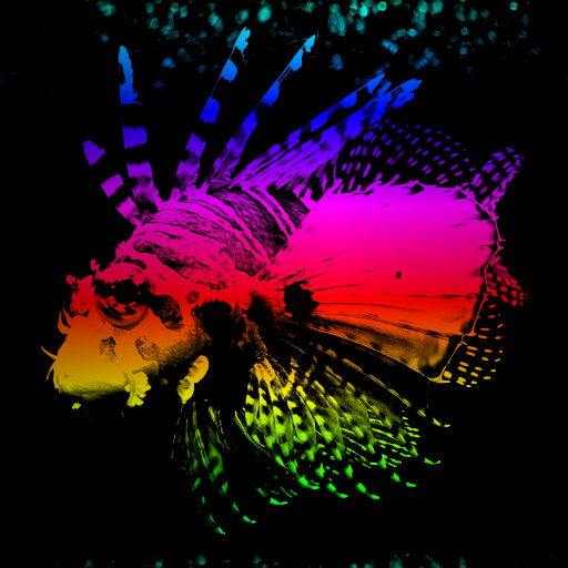 Variation 6
