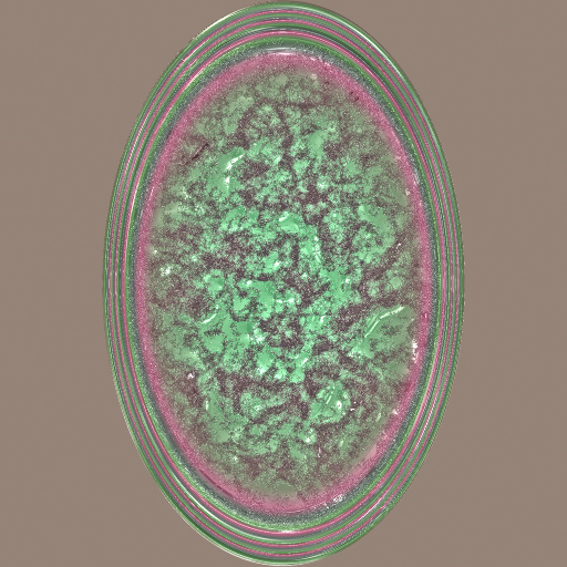 Variation 8