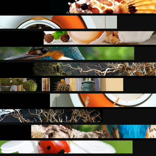 Variation 4