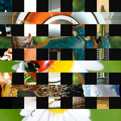 Variation 7