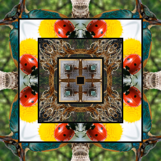 Variation 3