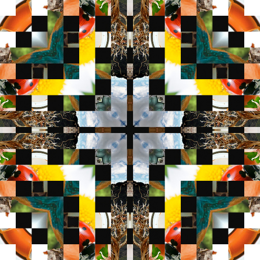 Variation 7
