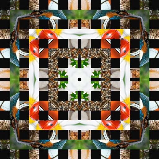 Variation 7