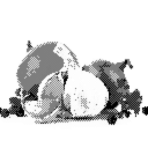Variation 6