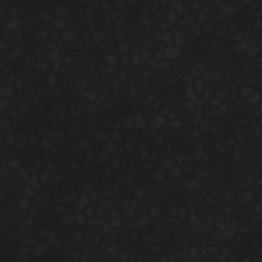 Bump Map