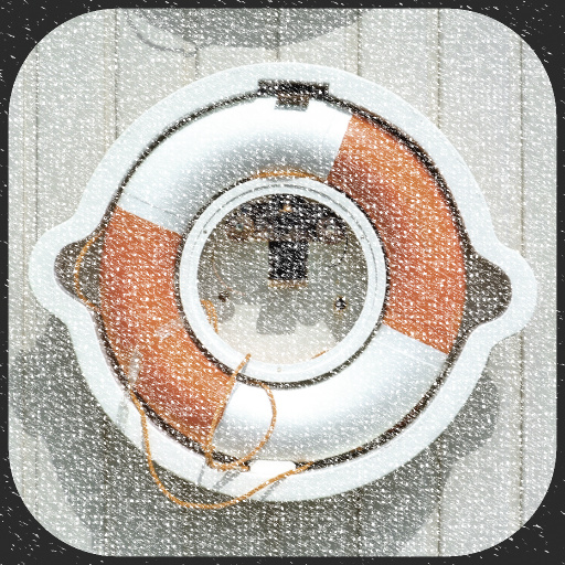Portrait Video Noise (Effect)