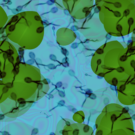 Variation 1