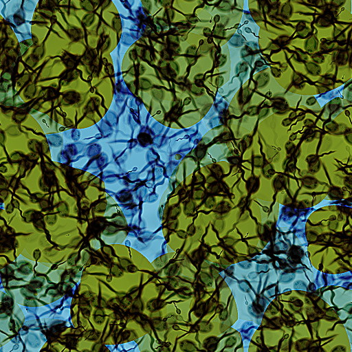 Variation 4